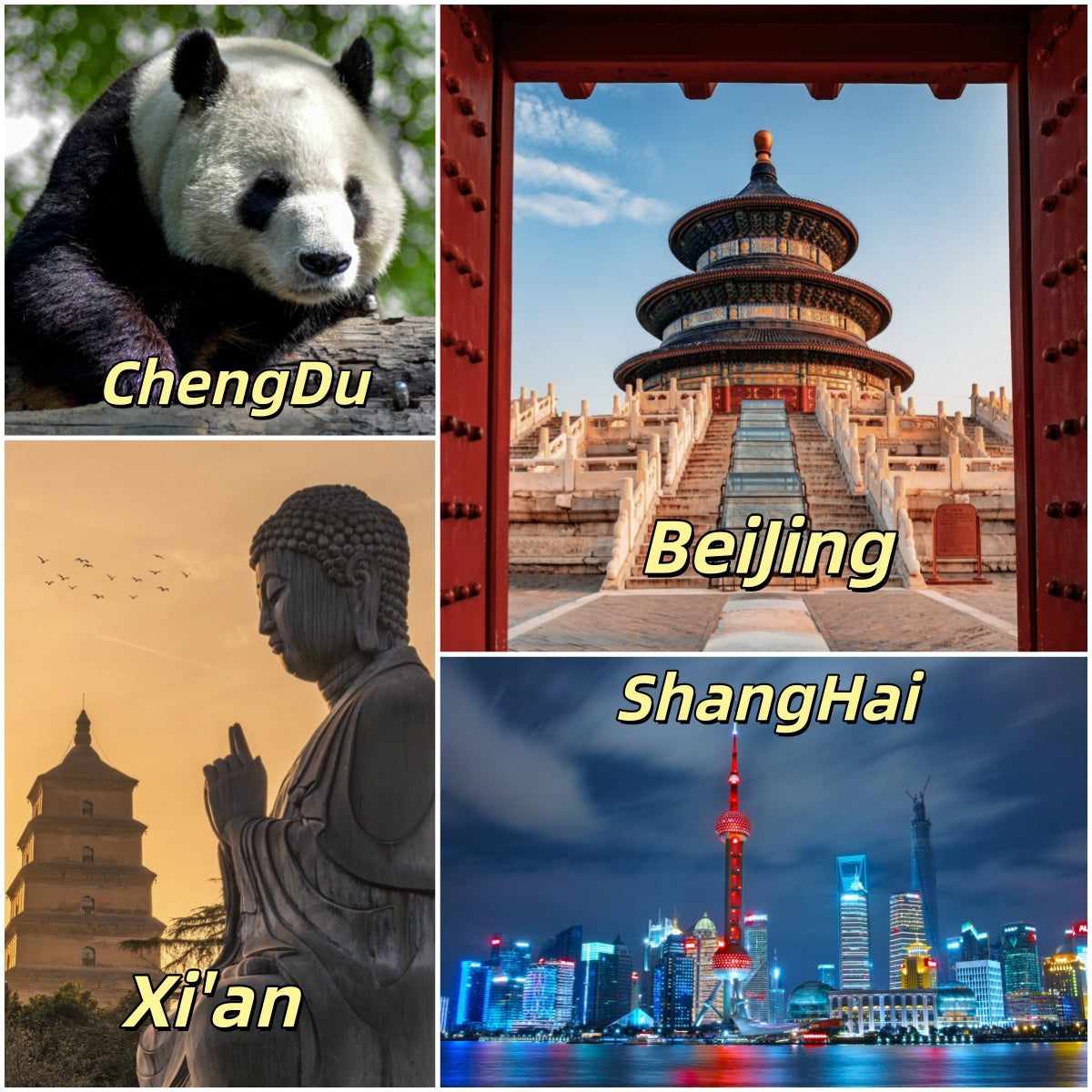 10 Days Private Tour of Beijing - Xi'an - Chengdu - Shanghai